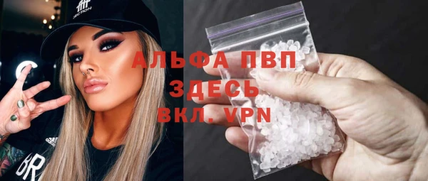 спайс Няндома