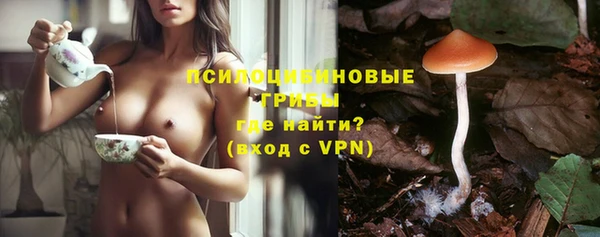 ПСИЛОЦИБИНОВЫЕ ГРИБЫ Белая Холуница