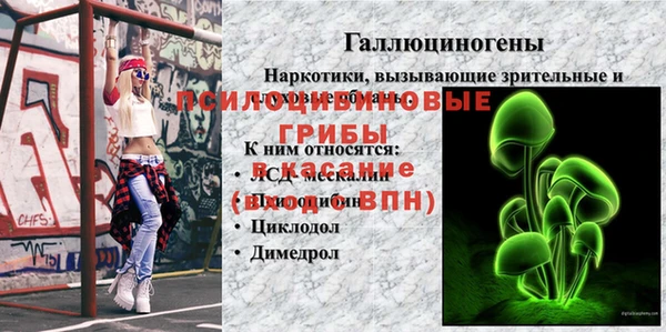 сатива Нязепетровск