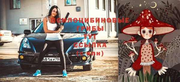 сатива Нязепетровск