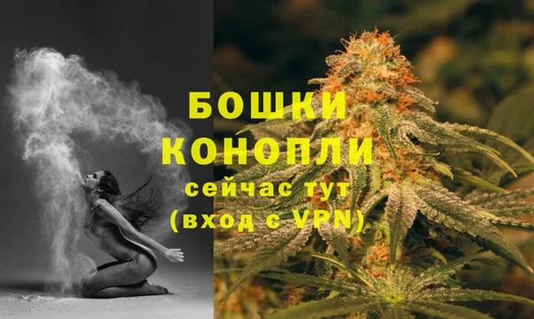 спайс Няндома