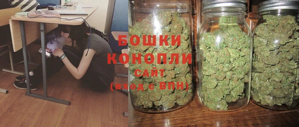 спайс Няндома