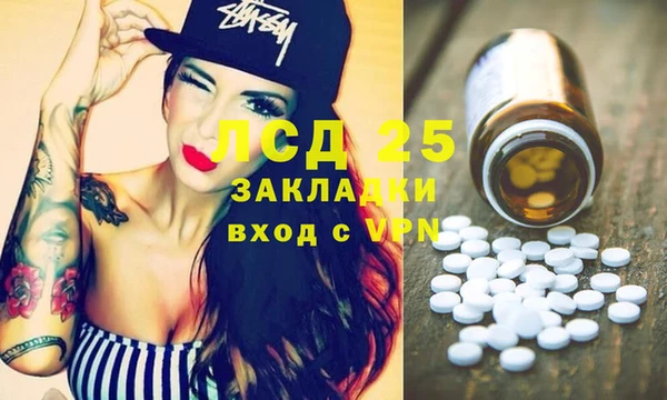 спайс Няндома
