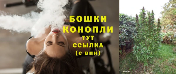 сатива Нязепетровск