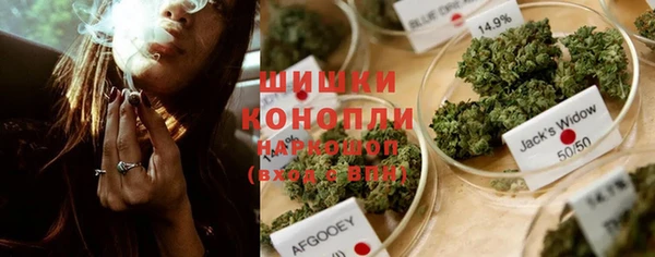 спайс Няндома