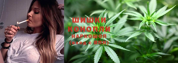 сатива Нязепетровск