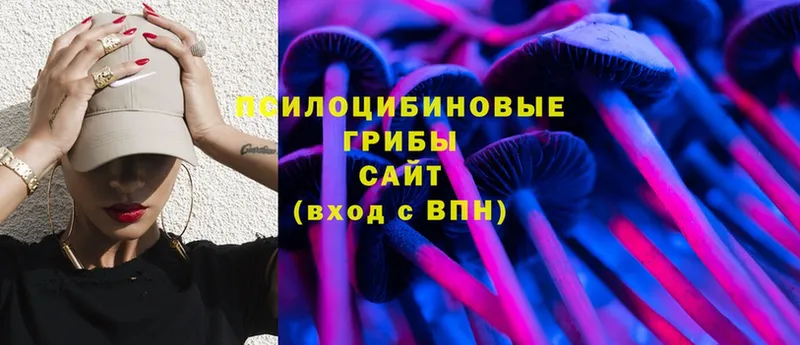 MEGA ССЫЛКА  наркошоп  Черкесск  Галлюциногенные грибы Cubensis 