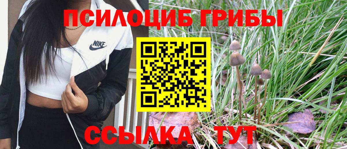 Псилоцибиновые грибы мицелий Черкесск