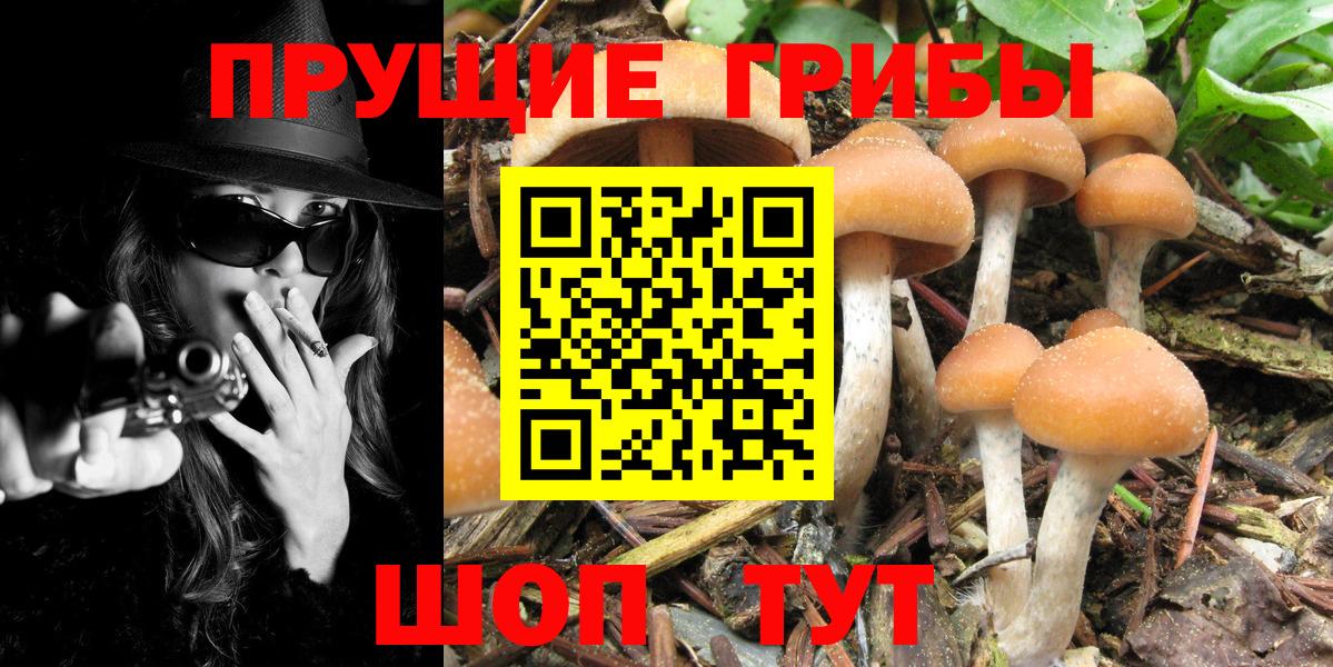 Черкесск  Галлюциногенные грибы MAGIC MUSHROOMS  Вход с VPN 